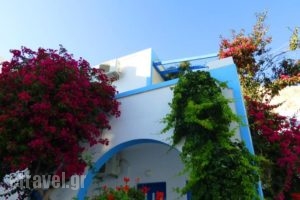 Anna Maria Rooms_lowest prices_in_Room_Cyclades Islands_Sandorini_Perissa