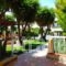 Terinikos Apart-Hotel_holidays_in_Hotel_Dodekanessos Islands_Rhodes_Ialysos