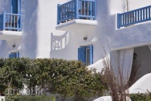 Harmony Boutique Hotel_best deals_Hotel_Cyclades Islands_Mykonos_Mykonos Chora