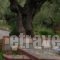 Villa Gerakas_holidays_in_Villa_Ionian Islands_Zakinthos_Zakinthos Rest Areas