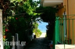 Lena Garnelli Apartments in Kassiopi, Corfu, Ionian Islands