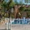 Vatia Villas_accommodation_in_Villa_Ionian Islands_Zakinthos_Zakinthos Rest Areas