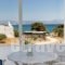 Apartments Tarsa_best deals_Apartment_Cyclades Islands_Antiparos_Antiparos Chora