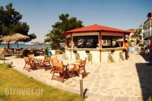 Rachoni Bay_best prices_in_Hotel_Aegean Islands_Thasos_Skala of Rachoni