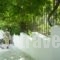 Villa Elpiniki_accommodation_in_Villa_Sporades Islands_Skiathos_Troulos