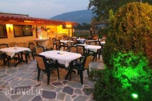 Kelari Studios_accommodation_in_Apartment_Central Greece_Fokida_Delfi