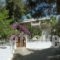 Zontanos Studios_best deals_Room_Piraeus Islands - Trizonia_Poros_Poros Chora