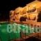 Gregory Apartments_best deals_Apartment_Peloponesse_Argolida_Tolo