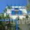 Sea View Studios & Apartments_holidays_in_Apartment_Cyclades Islands_Naxos_Agia Anna