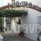 Studios Maria_accommodation_in_Apartment_Aegean Islands_Samos_Samos Rest Areas