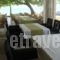 Alkioni by the sea_lowest prices_in_Apartment_Macedonia_Halkidiki_Siviri