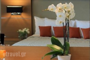 Elektra Hotel & Spa_accommodation_in_Hotel_Thessaly_Magnesia_Pilio Area