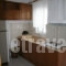 Antigoni Apartments_best prices_in_Apartment_Macedonia_Thessaloniki_Asprovalta