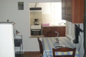 Archontiko Vardia_holidays_in_Apartment_Cyclades Islands_Andros_Gavrio