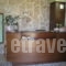 Olympia Guesthouse_best deals_Hotel_Macedonia_Imathia_Vergina