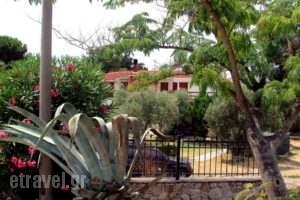 Kari_accommodation_in_Hotel_Macedonia_Halkidiki_Ouranoupoli