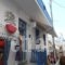 Delphines_travel_packages_in_Cyclades Islands_Mykonos_Mykonos Chora