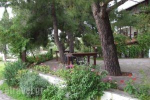 Para Thin Alos_best deals_Hotel_Macedonia_Halkidiki_Pefkochori