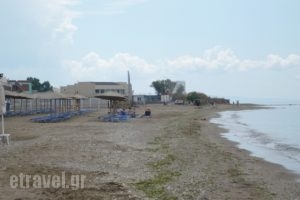 Municipal Camping of Alexandroupolis_travel_packages_in_Thraki_Evros_Alexandroupoli