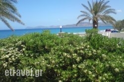 Hotel Petras Beach in Agios Georgios Nilias , Magnesia, Thessaly