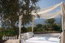 Verga Apartments & Suites in Patitiri, Alonnisos, Sporades Islands