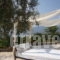 Verga Apartments & Suites_accommodation_in_Room_Peloponesse_Messinia_Paralia Vergas