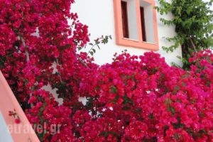 Villa Elizea_best prices_in_Villa_Crete_Chania_Agia Marina