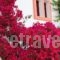 Villa Elizea_best prices_in_Villa_Crete_Chania_Agia Marina