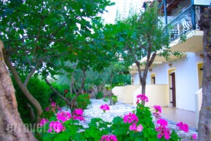 Gerakari Thalassa Studios_accommodation_in_Apartment_Ionian Islands_Zakinthos_Alykes