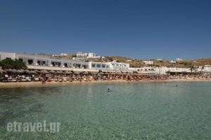 Acrogiali Hotel_travel_packages_in_Cyclades Islands_Mykonos_Platys Gialos