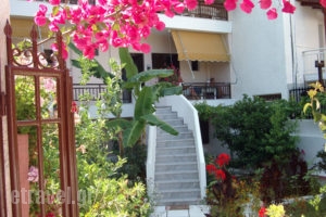 Papachrysanthou Apartments_best deals_Apartment_Peloponesse_Ilia_Arkoudi