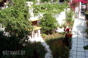 Papachrysanthou Apartments_holidays_in_Apartment_Peloponesse_Ilia_Arkoudi