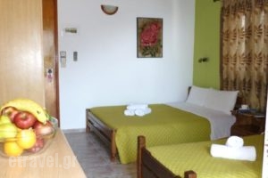 Paligremnos Studios_best prices_in_Hotel_Crete_Rethymnon_Plakias