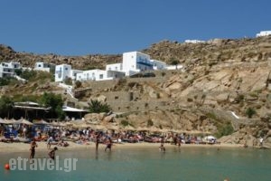 Super Paradise Rooms_travel_packages_in_Cyclades Islands_Mykonos_Mykonos Chora