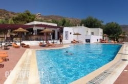 Purple Pig Stars Camping & Bungalows in Ireon, Samos, Aegean Islands