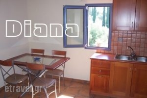 Diana Studios_best prices_in_Apartment_Ionian Islands_Kefalonia_Kefalonia'st Areas