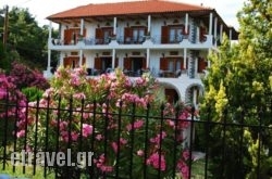 Pantheon Studios & Apartments in Bochali, Zakinthos, Ionian Islands