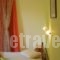 Studio Stars_best prices_in_Hotel_Ionian Islands_Zakinthos_Laganas