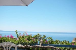 Hotel Hariklia_lowest prices_in_Hotel_Crete_Rethymnon_Aghia Galini