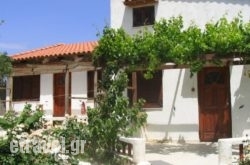 Sunrise Apartments in Aghia Efimia, Kefalonia, Ionian Islands