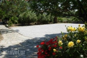 Korali_lowest prices_in_Hotel_Aegean Islands_Samos_Marathokambos