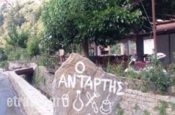 Antartis Restaurant and Tavern in Ouranoupoli, Halkidiki, Macedonia