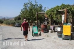 ARMI Taverna in Stylida, Fthiotida, Central Greece