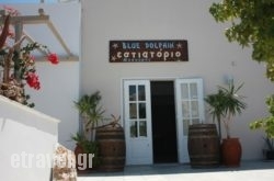 Blue Dolphin Restaurant in Chrysi Akti, Paros, Cyclades Islands