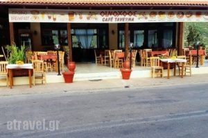 Oinohoos Cafe Taverna_food_in_Restaurant___Topolia