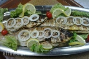 Glaros Seafood Restaurant_food_in_Restaurant___