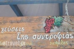 To Kafenio Tis Syntrofias in Lefkes, Paros, Cyclades Islands