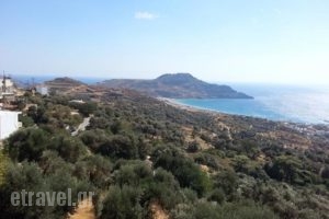 Taverna Panorama_food_in_Restaurant___