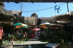 Dolphin Beach Bar in Malia, Heraklion, Crete