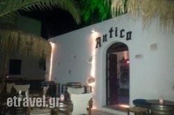 Antico bar in Paros Chora, Paros, Cyclades Islands